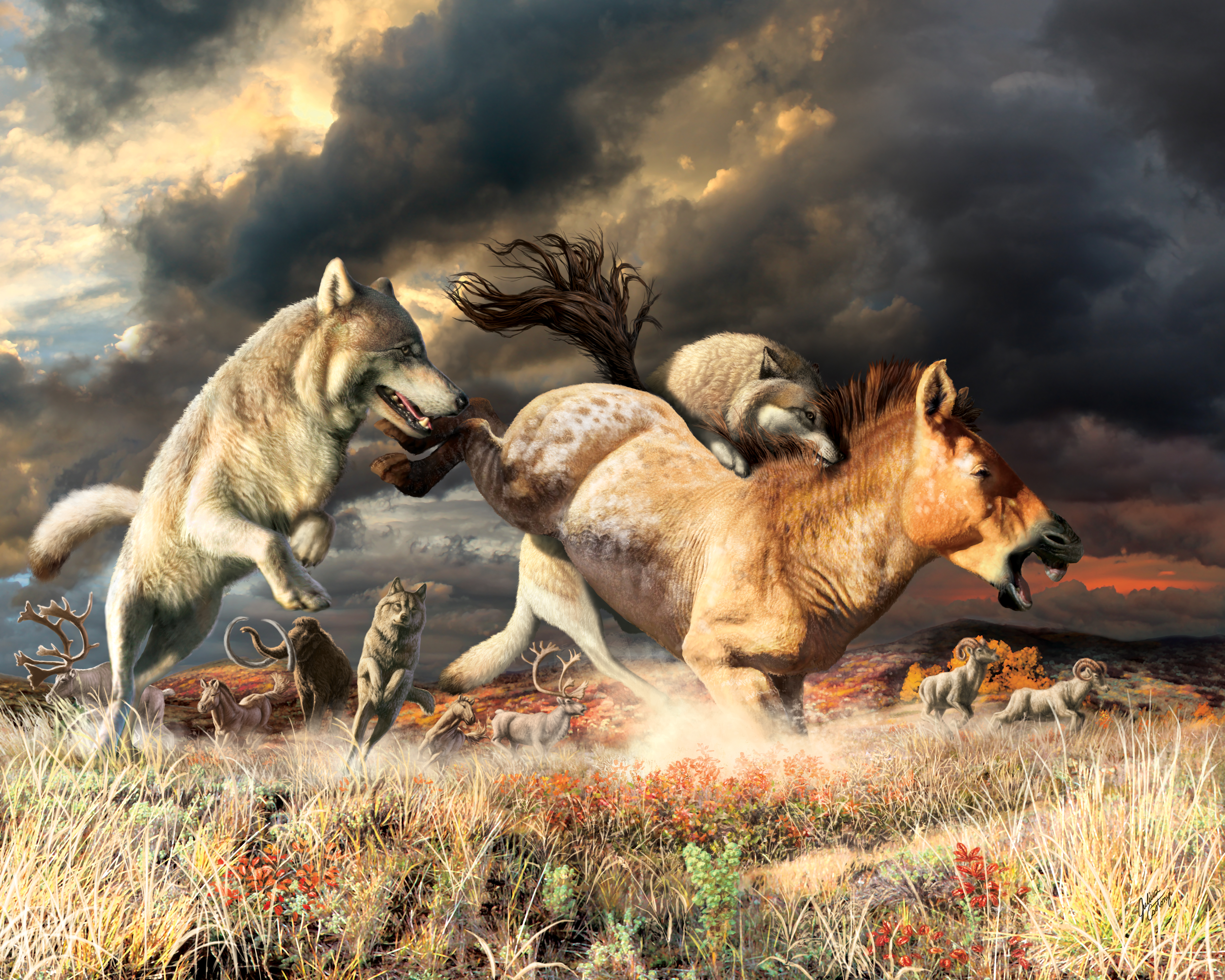 Grey wolves pursuing a horse on the Yukon mammoth steppe during the late Pleistocene. Painting by Julius Csotonyi for the Government of Yukon.